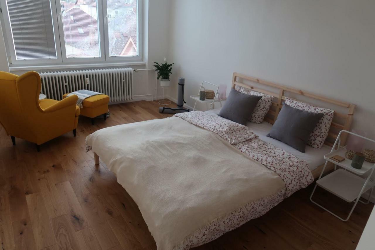 Hniezdo V Raji 1 - Luxurious Apartment 3 Min Walk To City Center Spišská Nová Ves Buitenkant foto